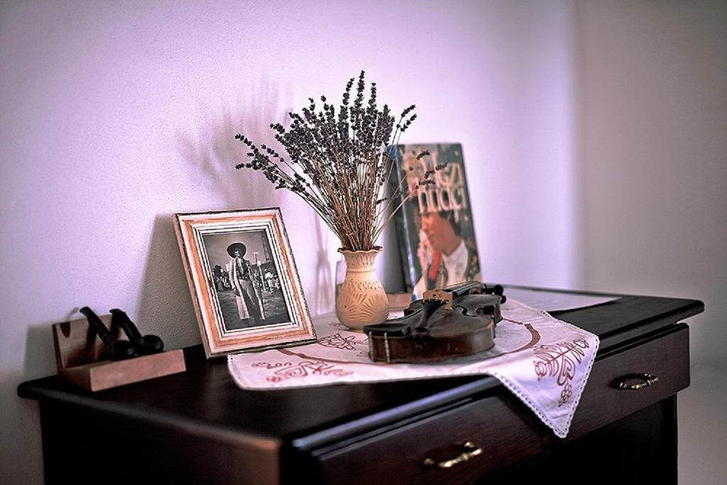 Penzion Primášé Dolni Vestonice Pokoj fotografie