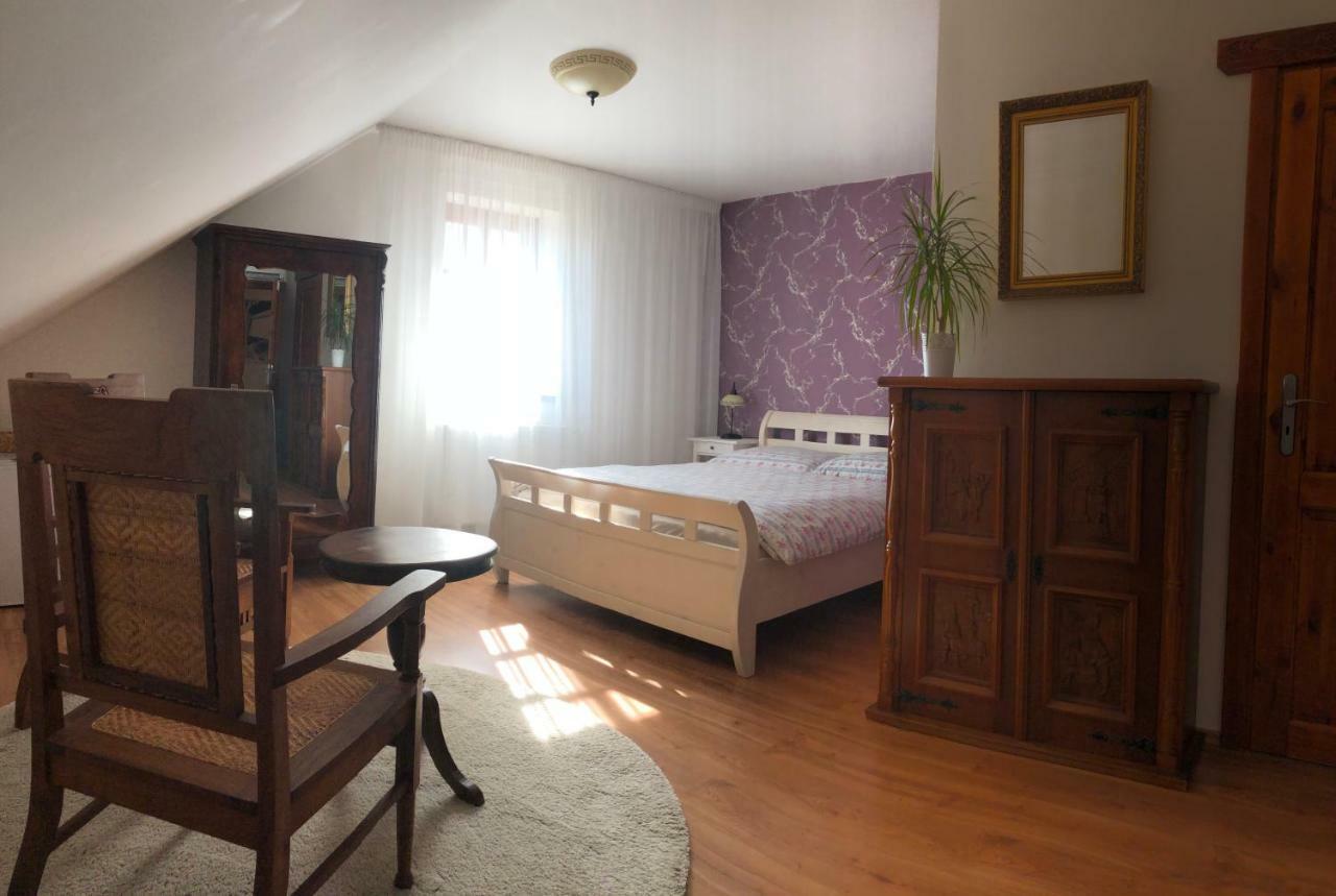 Penzion Primášé Dolni Vestonice Exteriér fotografie